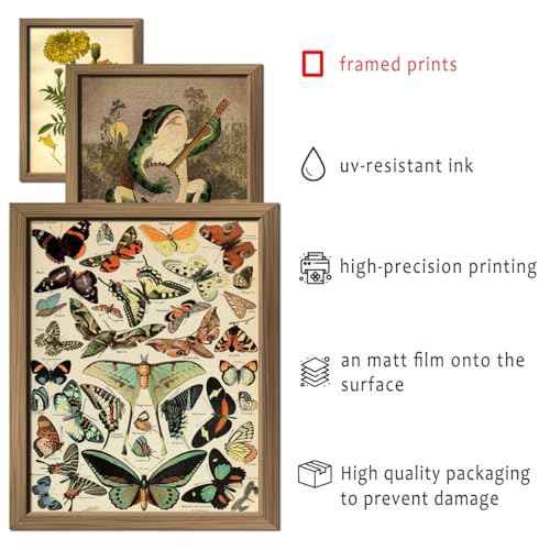 16 PCS Framed Vintage Wall Art Decor (16 Count)