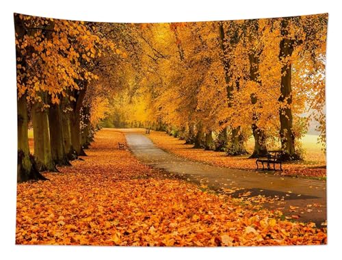 Fall Orange Forest Tapestry Nature Landscape Autumn Maple Tree with Vintage Road Wall Tapestry Modern Aesthetic Wall Art for Office Bedroom