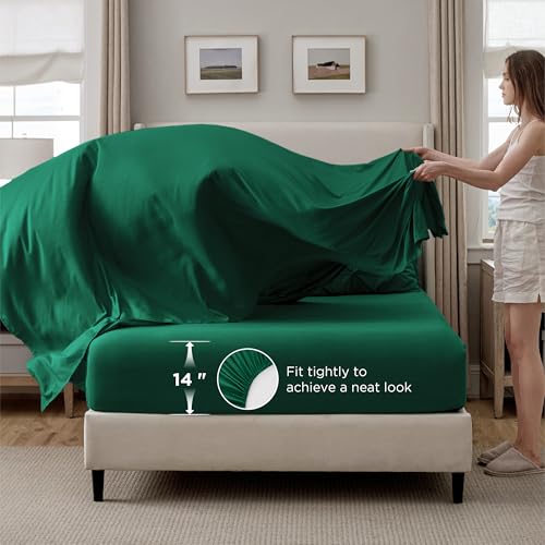 Twin Comforter Set & Sheet Set