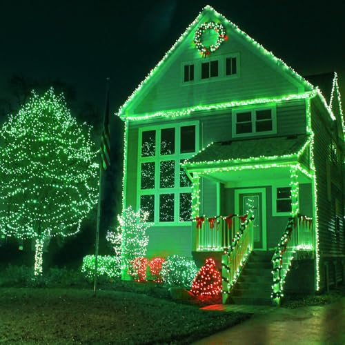 262FT 800 LED Christmas Lights Outdoor