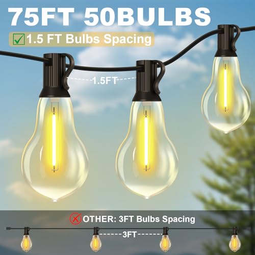 75FT Outdoor String Lights 50+3 Bulbs (75 Foot)