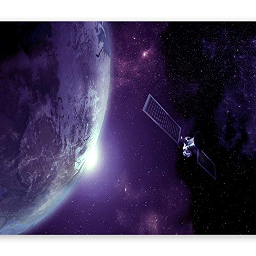 Peel and Stick Wall Mural (4 Count)