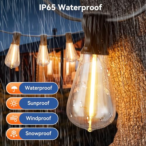 100 FT Outdoor String Lights for Outside (100 Foot)