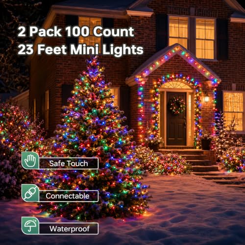 2 Pack Multicolor Christmas Lights (100 Count)