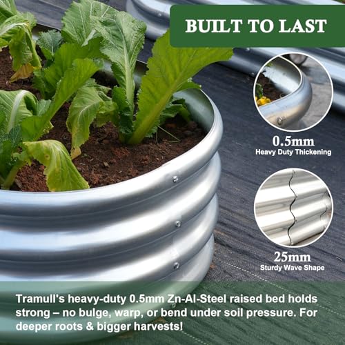 4x2x1 ft Galvanized Raised Garden Bed Outdoor