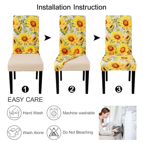 Pattern Chair Covers for Dining Chairs (2 Count)