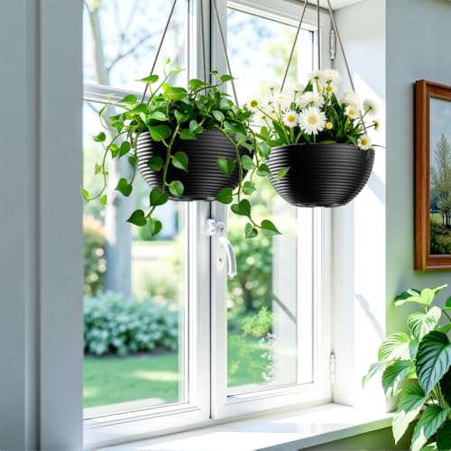 2 Pack Hanging Planter (2 Count)