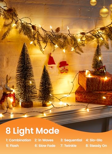 LED Christmas Mini Lights
