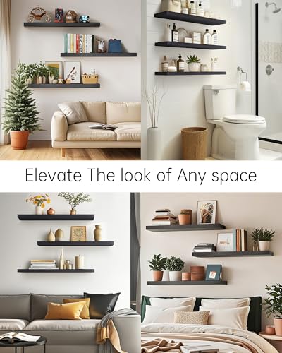 Floating Shelves for Wall