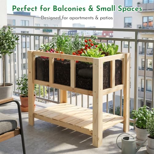 Raised Garden Bed with Transparent Acrylic Side Panels