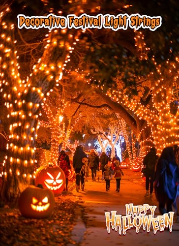 Orange Battery Operated Christmas String Lights with Timer