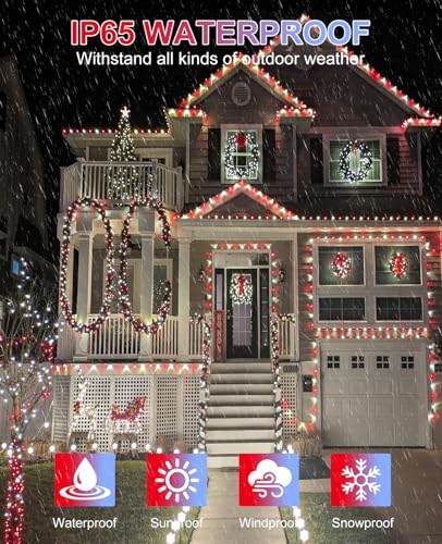 80FT 240 LED Christmas Lights Outdoor