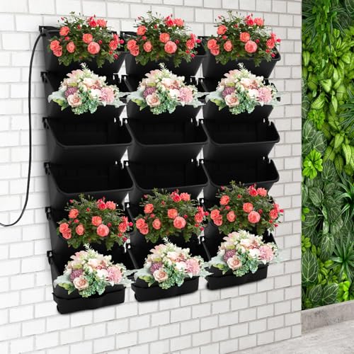 Self Watering Wall