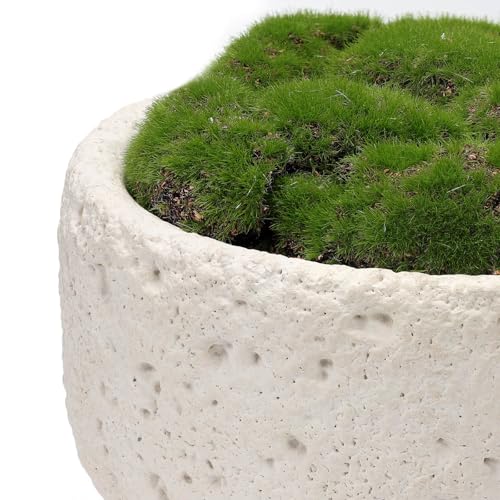 New Moss Bowl