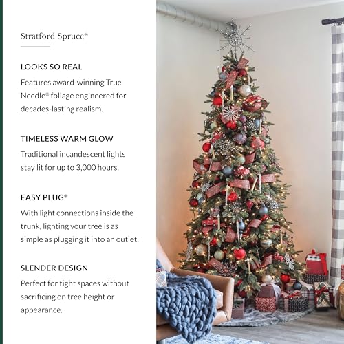 Stratford Spruce