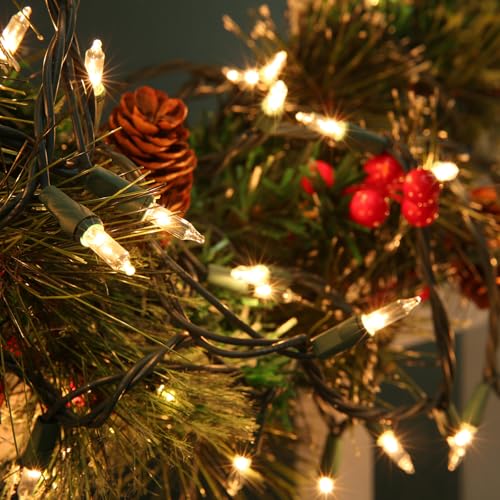 Clear Christmas Lights (12.5 Foot)