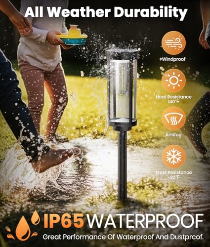 Solar Big Lights for Backyard (8 Count)