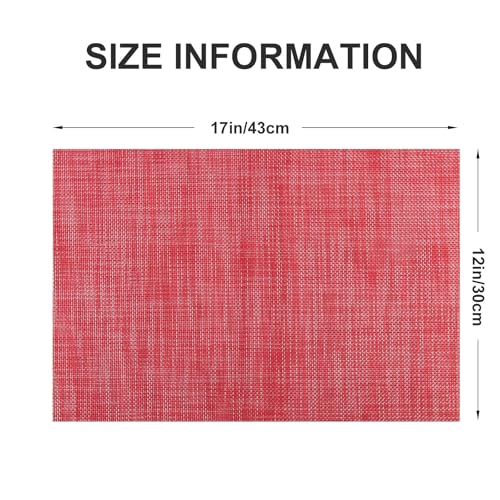 Vinyl Placemats Set of 8 (4 Count)