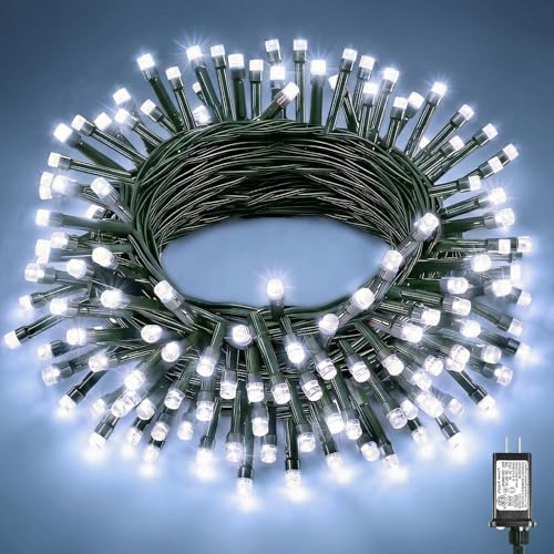 40FT 120 LED Christmas Lights Outdoor