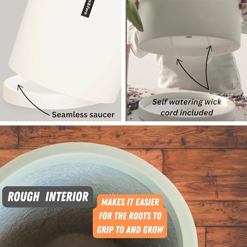 Large Planter for Indoor or Outdoor