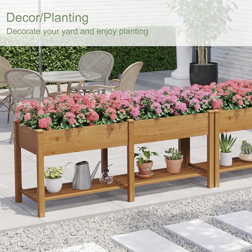 Raised Garden Bed with Shelf