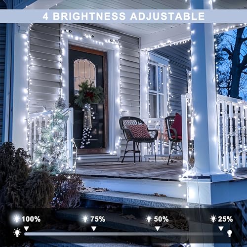 Clear Wire 163ft 500 LED White Christmas Lights Plug in (163 Foot)