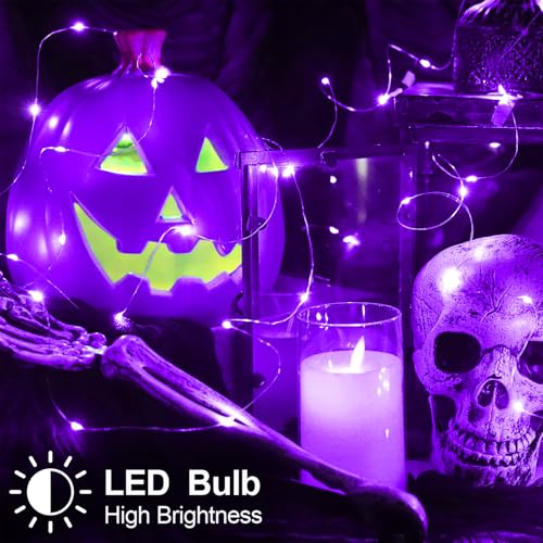 Halloween Decorations Purple Fairy String Lights