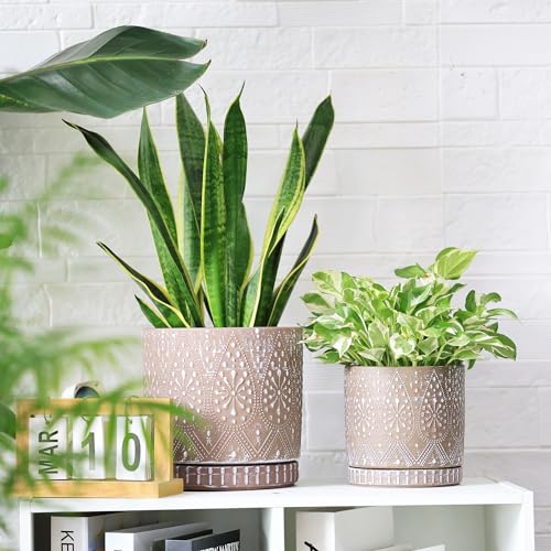 8 Inch + 6 Inch Plant Pot with Drainage Holes and Saucers (2 Count)