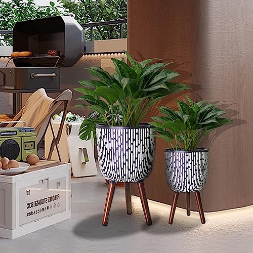 2 Set Plant Pot with Stand 10 & 12 inches with Legs for Indoor Plants (2 Count)