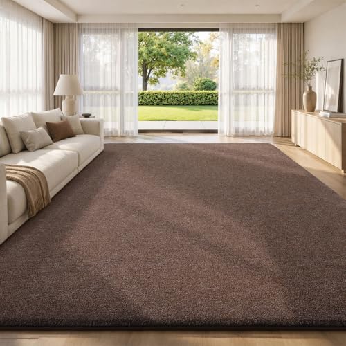 Area Rugs 9x12 for Living Room Bedroom (108 Sq Ft)