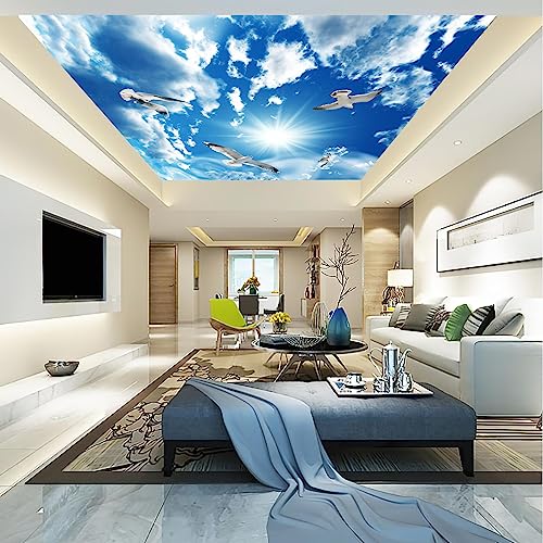 Blue Sky White Clouds