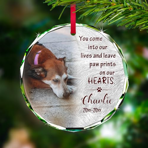 Personalized Memorial Pet Glass Ornament