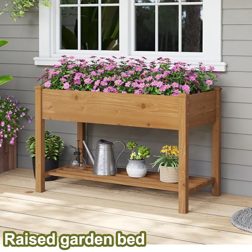 Raised Garden Bed with Shelf