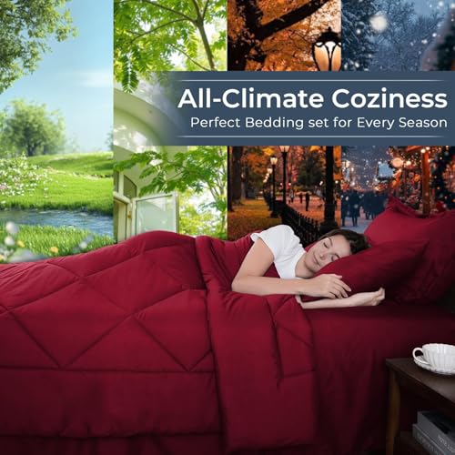 7 Piece Queen Comforter Set (7 Count)