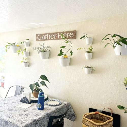 3 Pack Self Watering Wall Hanging Planter Pots Vertical Garden Window Hang Mount Indoor Outdoor Plant Flower Basket for Kitchen Herbs Balcony Railing Shelf Fence Bedroom Trellis Decor Modern White Box (3 Count)