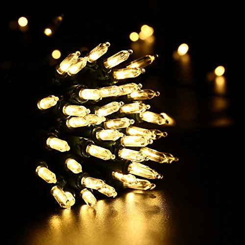 Color Changing Christmas Lights
