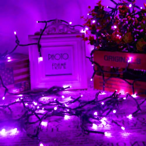 75.8FT 200 LED Extendable Purple Halloween String Lights Indoor Outdoor (82 Foot)