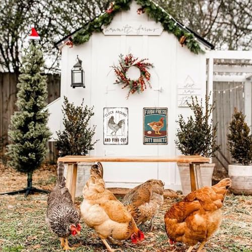 Chicken Coop Metal Signs for Outdoor