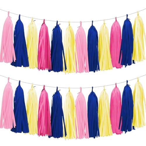 Tissue Paper Tassel Garland Banner (20 Count)