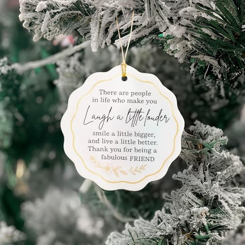 Friend Ornament 2026