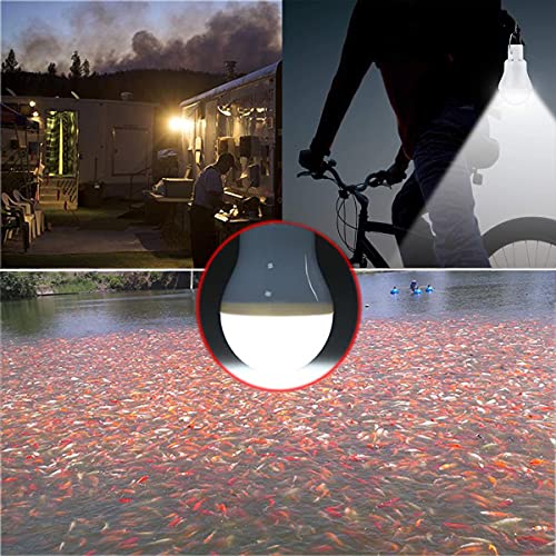 Solar Light Bulb Portable 350LM Solar Powered Camping Light Led Lantern Outdoor for Lamp Light Hiking Fishing Tent Indoor Shed Chicken Coop Hurricane Emergency with USB Chargeable (2 Count)
