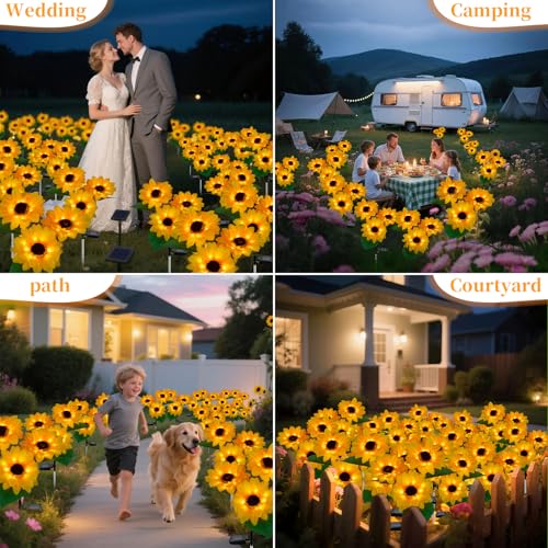 Outdoor Solar Garden Stake Lights (2 Count)