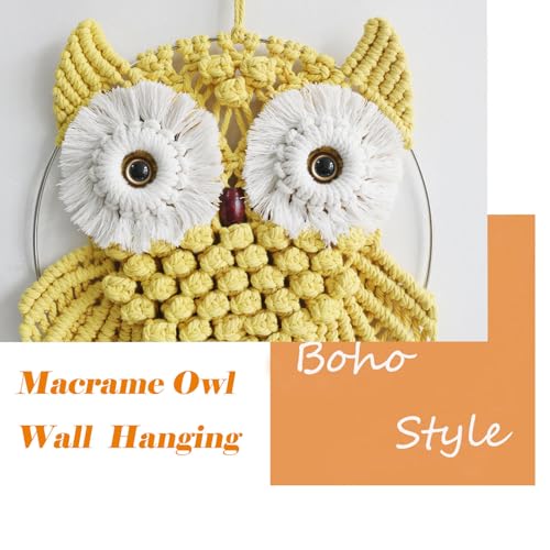 Owl Macrame Wall Hanging
