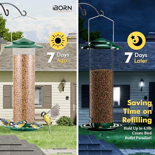 Metal Bird Feeder for Outside Hanging
