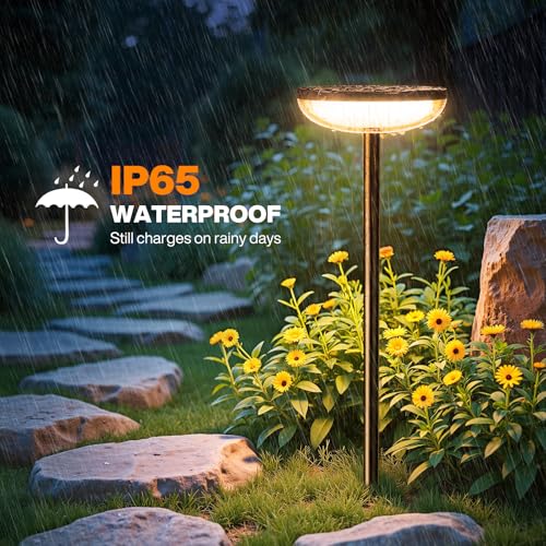 Solar Pathway Lights Outdoor