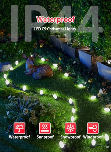 Vintage C9 LED Christmas Lights Outdoor (50 Count)