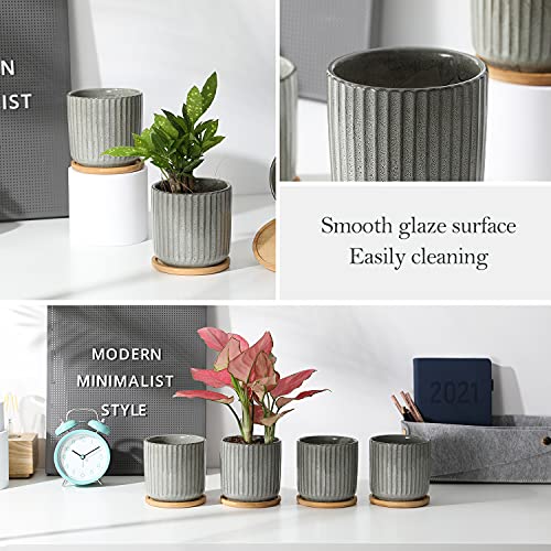 4 in Cylinder Ceramic Plant Pots with Trays (4 Count)