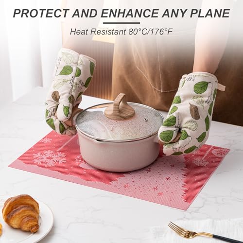 Placemats Set of 4 Washable Indoor (4 Count)