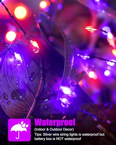 Fairy Lights Battery Operated