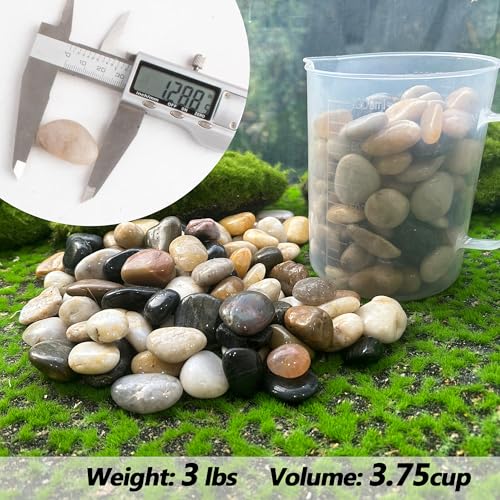 Pebbles for Plants 3 lb Natural Garden Decorative Stone Outdoor Aquariums Gravel 1